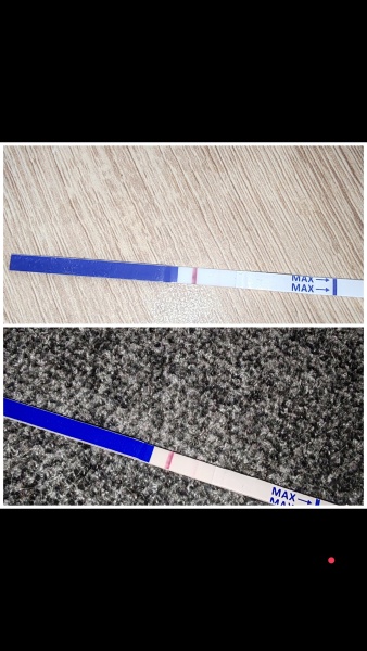 TTC July 2024 ✨♥️