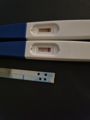 Positive pregnancy test then the line disappeared