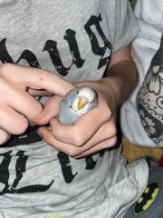 Fat Girl Summer 2 Electric Boogaloo💅☀️