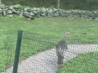 Come and tell me your dull and unexciting news 30: Calmly through the day