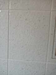 Bright blue bathroom suite - what colour walls?