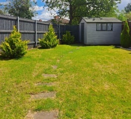 Help me with my ugly garden?