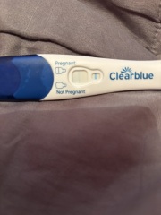 Clear blue test. Evap line or positive