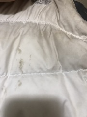Cleaning a white north face jacket