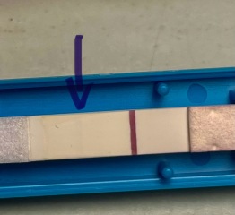 Positive or evap line?
