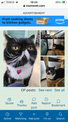 Can we have a 'see all photos' function? Christmas fridge thread, I'm looking at you!