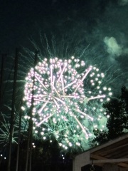 Come and tell me your dull and unexciting news 30: Calmly through the day