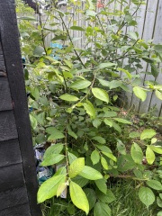 Can anybody tell me what this is?