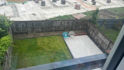 could you please show me your pleached trees?