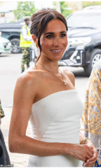 Netflix Billionaire Boss Backs Meghan