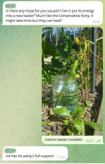 The Vegetable Patch 2024/2025