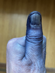 Les Parisiennes des Mamanset: On the Advent of Newness