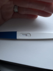 TTC July 2024 ✨♥️