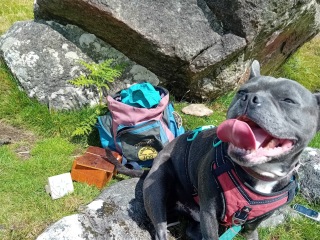 The support thread for anyone trying to lead an alcohol free life.