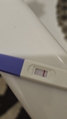 Chemical Pregnancy?