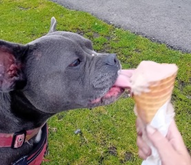 The support thread for anyone trying to lead an alcohol free life.