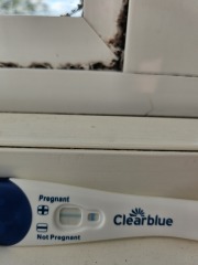 Clearblue