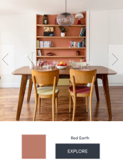 Unusual kitchen colour?