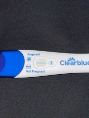 Pregnancy test