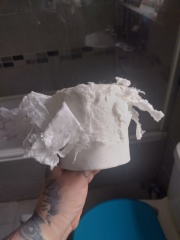 The One where TC moved to Scotland and joined the Excellent Cats