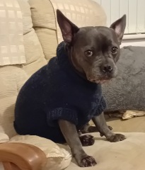 The support thread for anyone trying to lead an alcohol free life.