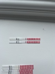 WONDFO indent lines