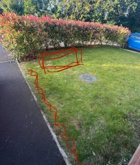 Front garden help