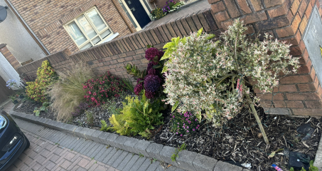 Help my Garden