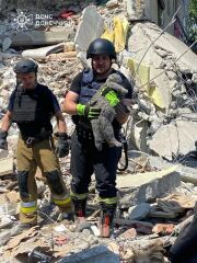 Ukraine Invasion: Part 50