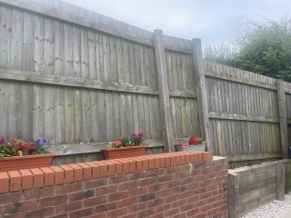 Help with hiding ugly wonky fence
