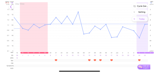 TTC after chemical pregnancy
