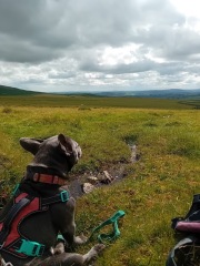 The support thread for anyone trying to lead an alcohol free life.