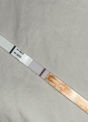 TTC July 2024 ✨♥️