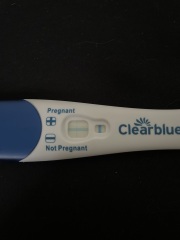 Pregnancy test