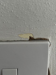AIBU to disagree with DH that these walls need to be sanded?