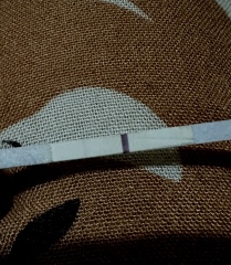 Is it evap or faint positive?