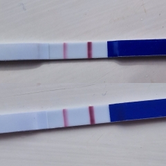 Line progression reassurance