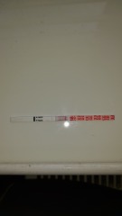 Wondfo test looks positive but could it be a dye run?