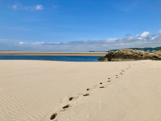 Thread 14 - TalkLair: “What The Hell Are We Supposed To Use, Man? Harsh Language?”