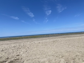 Come and tell me your dull and unexciting news 30: Calmly through the day