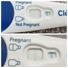 Due April 2025 ✨
