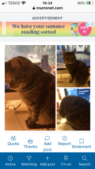 Can we have a 'see all photos' function? Christmas fridge thread, I'm looking at you!