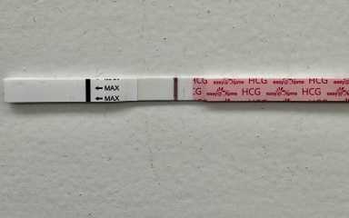 TTC July 2024 ✨♥️