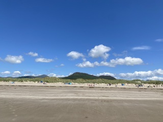 Come and tell me your dull and unexciting news 30: Calmly through the day