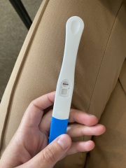 Is this an Evap line? Help!