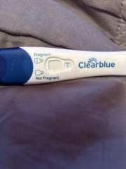 Clear blue test. Evap line or positive