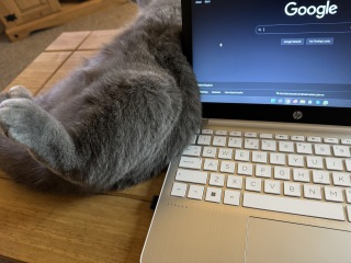 New things that got instantly ruined