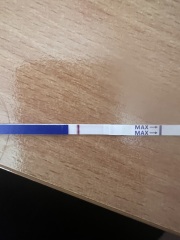 One step Pregnancy test