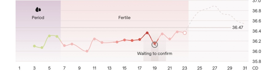 BBT & ovulation after miscarriage