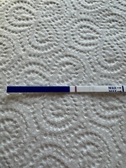 13dpo- Faint lines- BFP or chemical?!